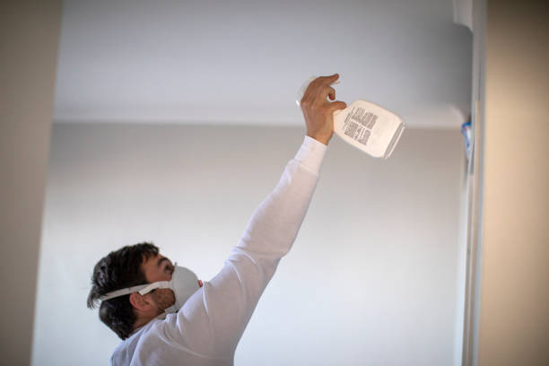 Home Mold Removal in Fitchburg, WI