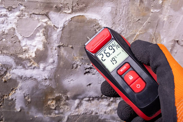 Best Fast Mold Removal  in Fitchburg, WI