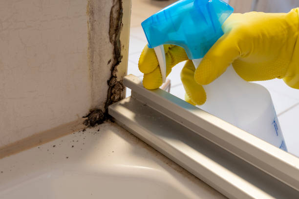 Best Professional Mold Removal  in Fitchburg, WI