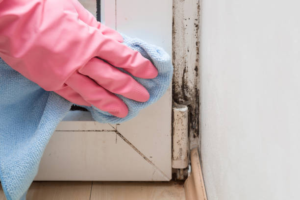 Best Office Mold Removal Services  in Fitchburg, WI